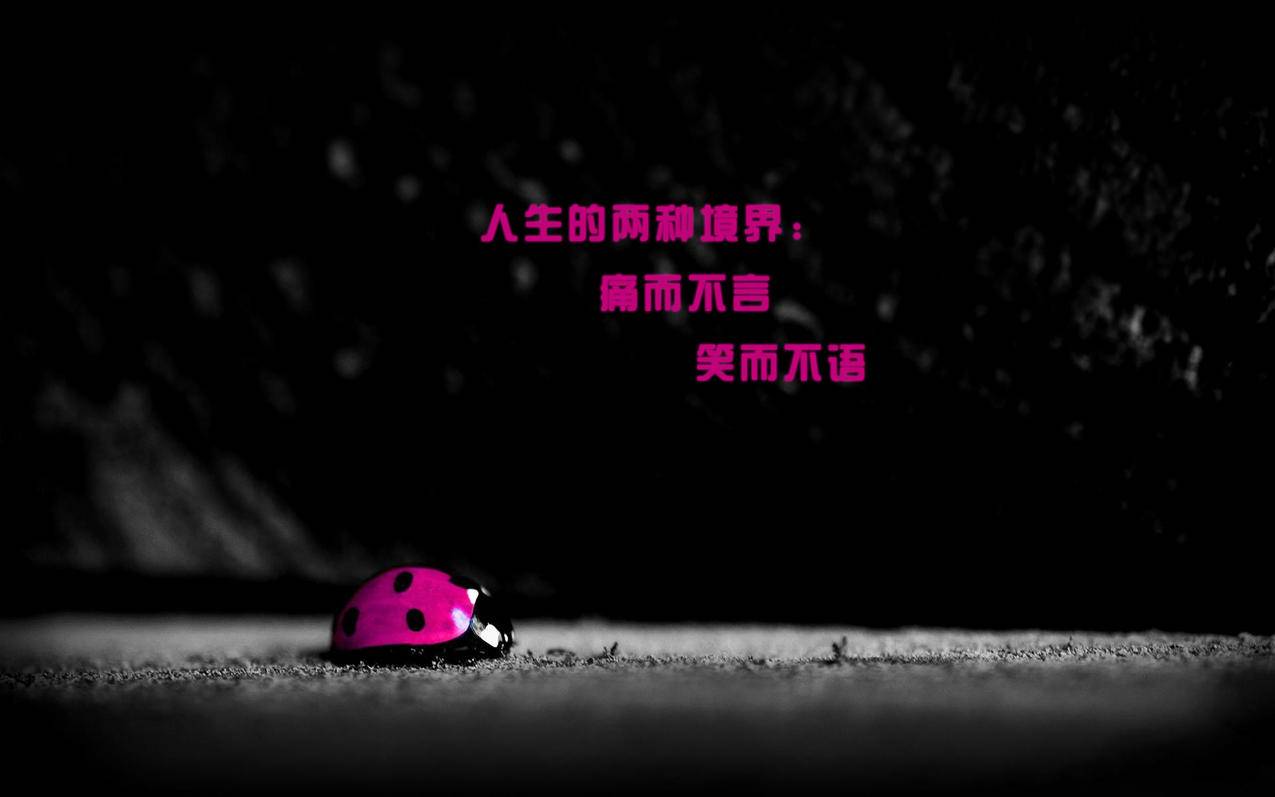 网红商城